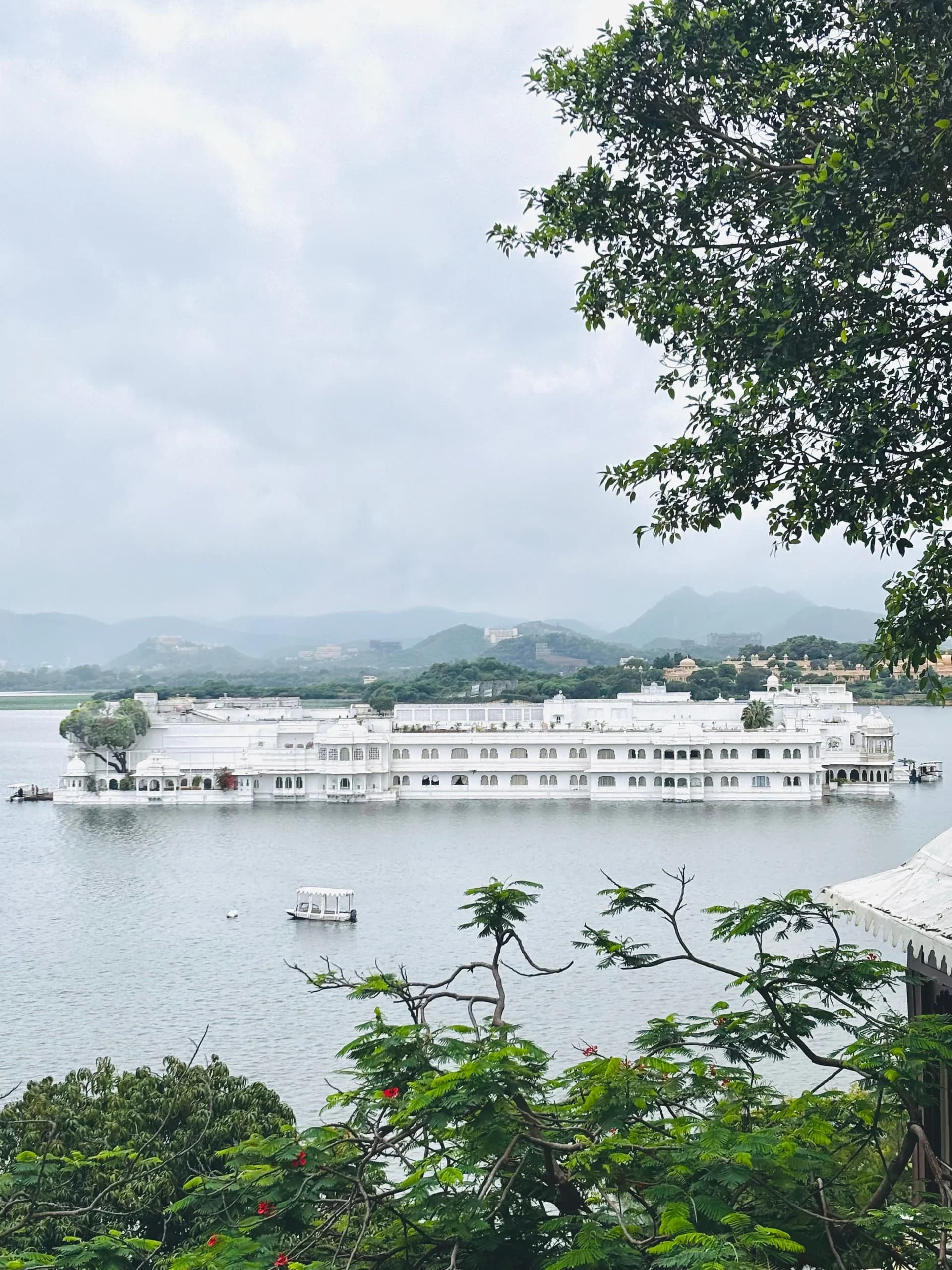 Taj Lake Palace floating on Lake Pichola seen through trees